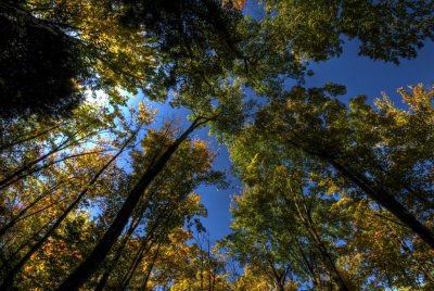 2009-Oct04C.jpg