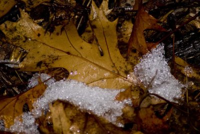 2009-Nov04C.jpg