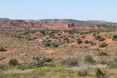 Caprock Canyon