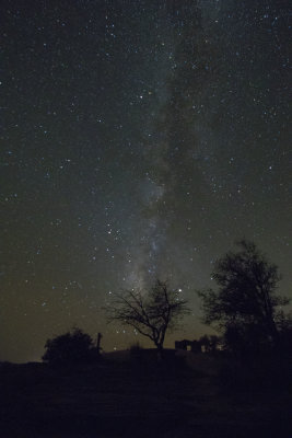 Milky Way from Davis Mtn State Park