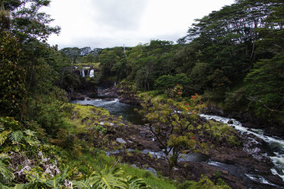 Waterfalls abound in Hilo!