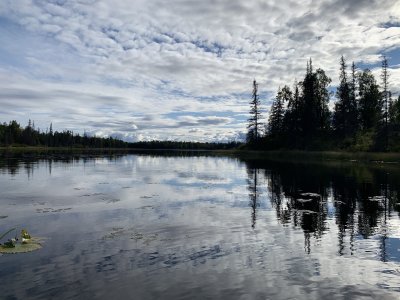 Denali is over there under the clouds