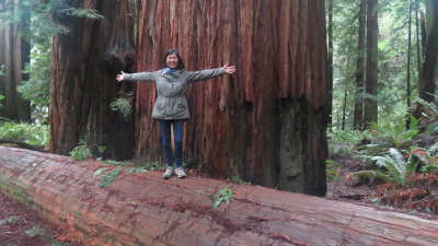 Redwood, CA