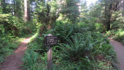 Berry Glen Trail