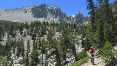 Bristlecone Pine Glacier Trail 
4.5mi RT