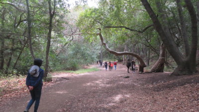 Nojoqui Falls,
Solvang