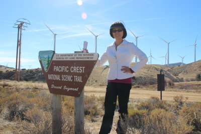 Alta Wind Energy Center