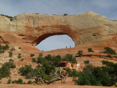 15-May-2021
Wilson Arch