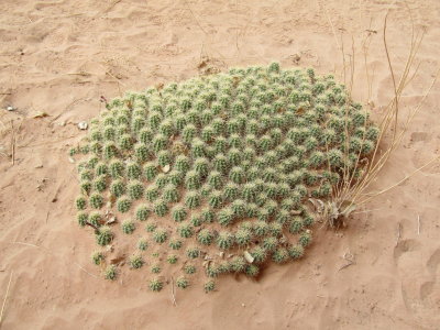 BrianH21_c024.JPG
