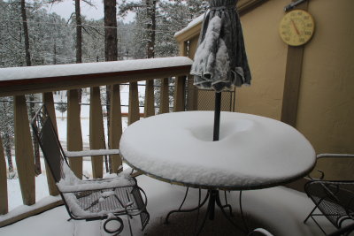 NM15_7001.JPG