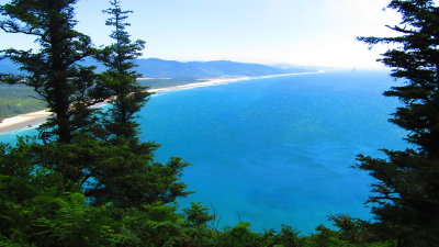 Redwood21_9156.JPG