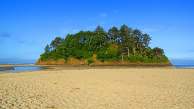 Ghost Forest, Neskowin