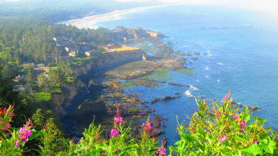 Devils Punchbowl,
Otter Rock