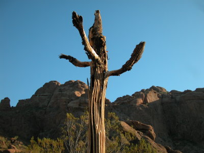 Camelback Mountain