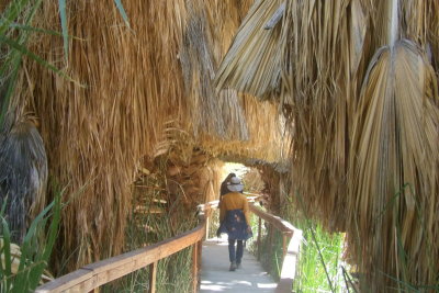 Coachella Valley Preserve