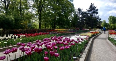 IMG_E9991.JPG