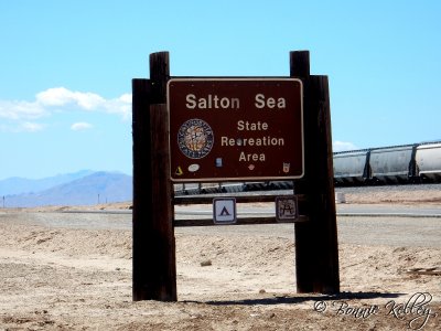 Salton Sea
