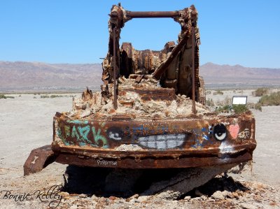 Salton Sea