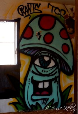 Bombay Beach