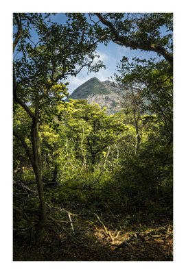 鳳凰山 Lantau Peak