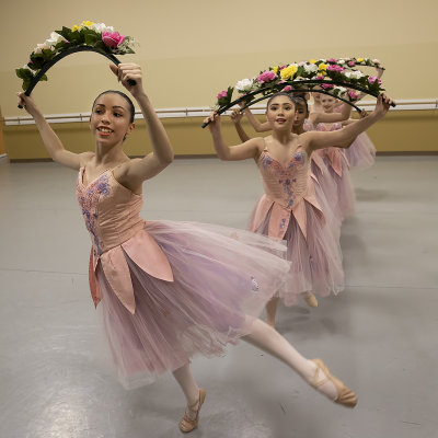 Gwinnett Ballet Theatre Sleeping Beauty Excerpts