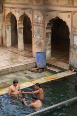 DSC_6748.jpg