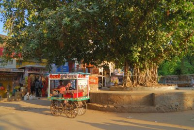 DSC_6864.jpg