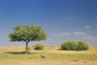 DSC_7578.jpg
