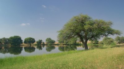 DSC_7580.jpg