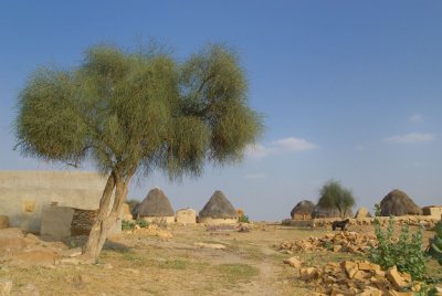 DSC_7610.jpg