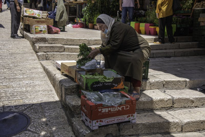 Jerusalem Muslim Quarter Paddler