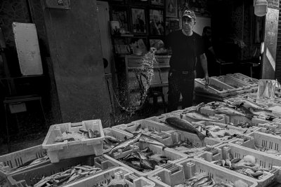 fishmonger in Akko Turkish Bazaar