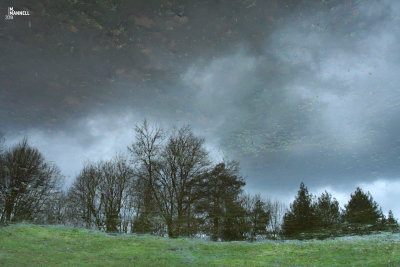 Puddle of May