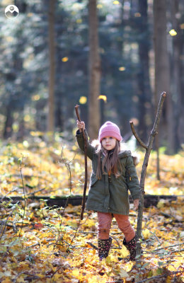 Forest Power