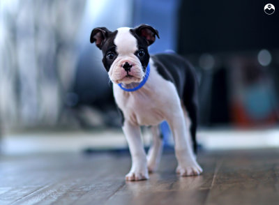 Lil' Lucky