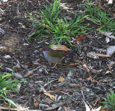 g12/26/894626/3/170679672.DJrwfzcF.jpg