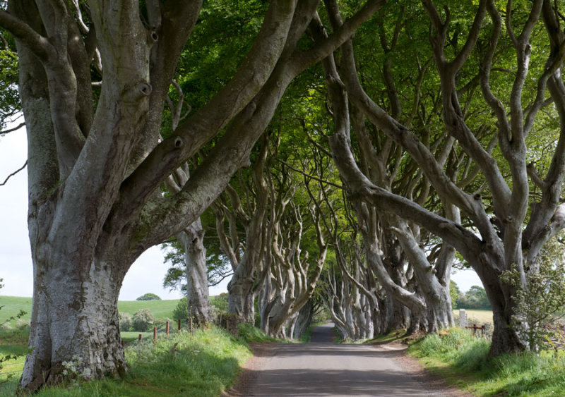 2015 Noord Ierland/Nothern Ireland