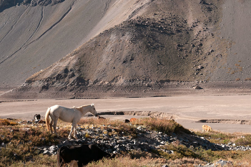 c300_5671F Parque Valle del Yeso.jpg