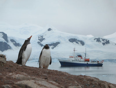2006 Zuidpool Antarctica
