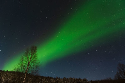 D4S_2033F noorderlicht (aurora borealis, northern light).jpg