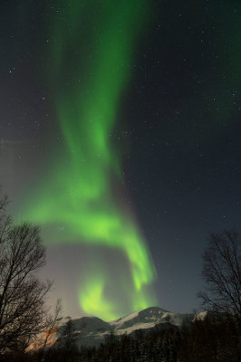 D4S_2057F noorderlicht (aurora borealis, northern light).jpg