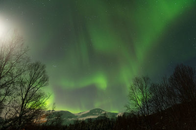 D4S_2060F noorderlicht (aurora borealis, northern light).jpg