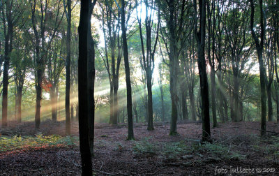 een gebed zonder woorden; a prayer without words