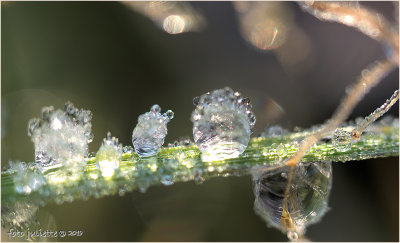 
Ijsdruppeltjes-frozen waterdrops
