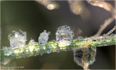 Ijsdruppeltjes-frozen waterdrops