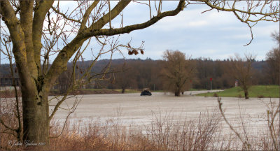 de IJssel hoogwater; river IJssel high waterlevel