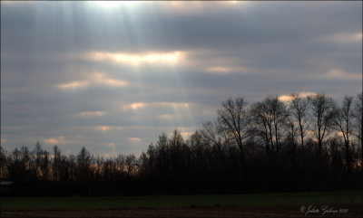 de IJssel avondlicht; river IJssel evening-light