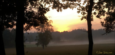 Nat. Park Veluwezoom