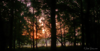 Nat. Park Veluwezoom