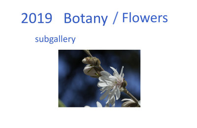 7. Botany - Flowers